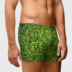 Трусы-боксеры мужские Зелёная трава листья, цвет: 3D-принт — фото 2