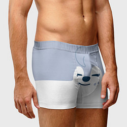 Трусы-боксеры мужские Wolf Chan skzoo, цвет: 3D-принт — фото 2