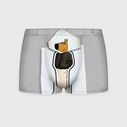 Трусы-боксеры мужские Чиловый парень - свидетель мем, цвет: 3D-принт