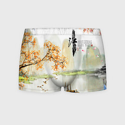Трусы-боксеры мужские China Landscape, цвет: 3D-принт