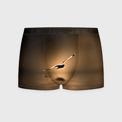 Трусы-боксеры мужские Летящая птица, цвет: 3D-принт