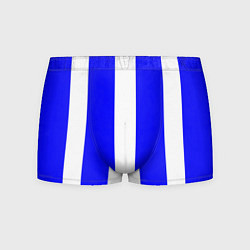 Трусы-боксеры мужские Color white blue line, цвет: 3D-принт