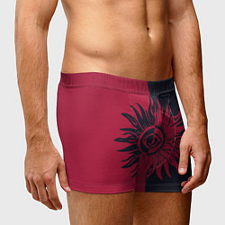 Трусы-боксеры мужские Солнце красно-синее, цвет: 3D-принт — фото 2