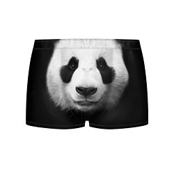 Трусы-боксеры мужские Взгляд панды цвета 3D-принт — фото 1