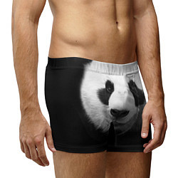 Трусы-боксеры мужские Взгляд панды, цвет: 3D-принт — фото 2