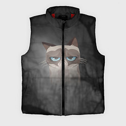 Мужской жилет Grumpy Cat, цвет: 3D-красный