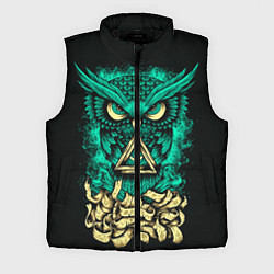 Мужской жилет Bring Me The Horizon: Owl, цвет: 3D-черный