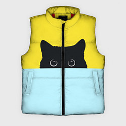 Мужской жилет Черный кот выглядывает, цвет: 3D-красный