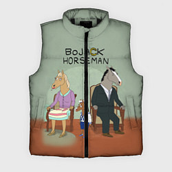 Мужской жилет BoJack Horseman