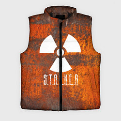Мужской жилет S.T.A.L.K.E.R: Steampunk, цвет: 3D-черный