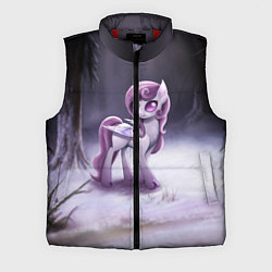 Мужской жилет Violet Pony