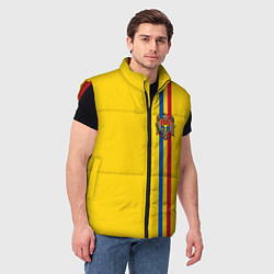 Мужской жилет Молдавия: лента с гербом, цвет: 3D-красный — фото 2