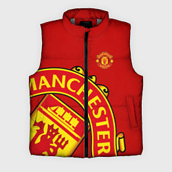 Мужской жилет FC Man United: Red Exclusive, цвет: 3D-светло-серый