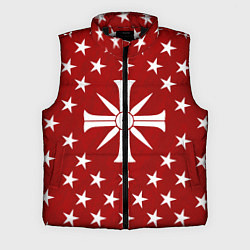 Мужской жилет Far Cry 5: Red Cult, цвет: 3D-черный