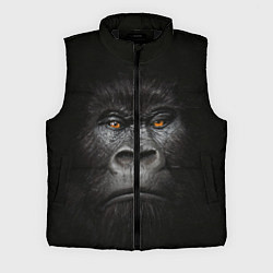 Мужской жилет Морда Гориллы, цвет: 3D-черный
