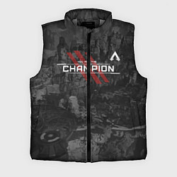 Мужской жилет You Are The Champion, цвет: 3D-светло-серый