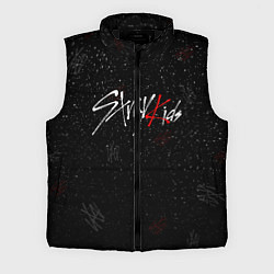 Мужской жилет STRAY KIDS, цвет: 3D-черный