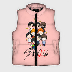 Мужской жилет Stray Kids, цвет: 3D-черный