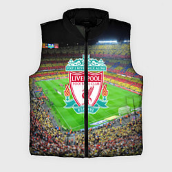 Мужской жилет FC Liverpool, цвет: 3D-черный