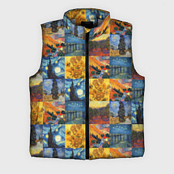 Мужской жилет Картины Ван Гога