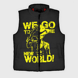 Мужской жилет One Piece We Go World, цвет: 3D-красный