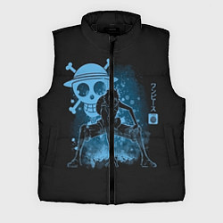 Мужской жилет One Piece, цвет: 3D-черный