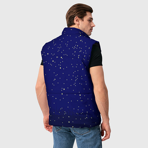 Мужской жилет Мой сосед Тоторо / 3D-Черный – фото 4