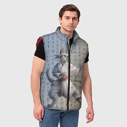 Мужской жилет Karate cat, цвет: 3D-красный — фото 2