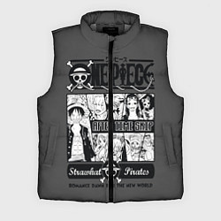 Мужской жилет One Piece, цвет: 3D-светло-серый