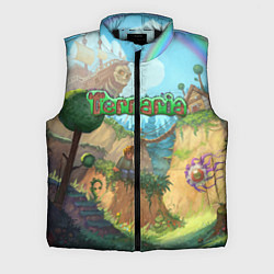Мужской жилет Terraria, цвет: 3D-черный