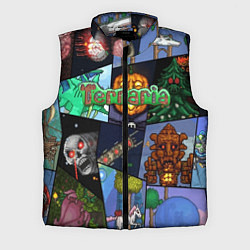 Мужской жилет Terraria, цвет: 3D-светло-серый