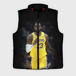 Мужской жилет Леброн Джеймс, цвет: 3D-красный