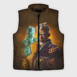 Мужской жилет Zane Flynt