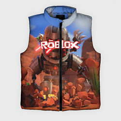 Мужской жилет ROBLOX