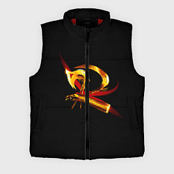 Мужской жилет DMC