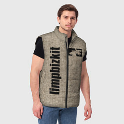 Мужской жилет LIMP BIZKIT, цвет: 3D-черный — фото 2