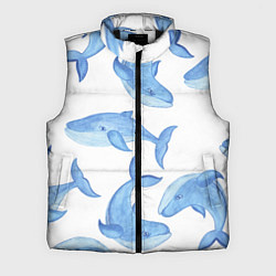 Мужской жилет Косяк китов, цвет: 3D-черный