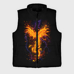 Мужской жилет Phoenix, цвет: 3D-черный