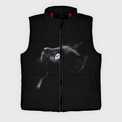 Мужской жилет Кот, цвет: 3D-красный