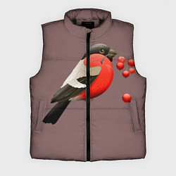 Мужской жилет Снегирь, цвет: 3D-черный