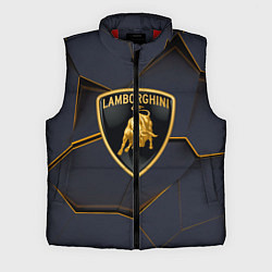 Мужской жилет Lamborghini, цвет: 3D-красный