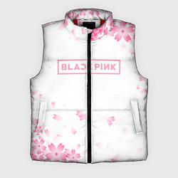 Мужской жилет BLACKPINK, цвет: 3D-красный