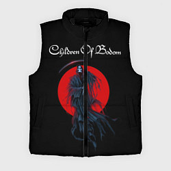 Мужской жилет Children of Bodom 19, цвет: 3D-черный