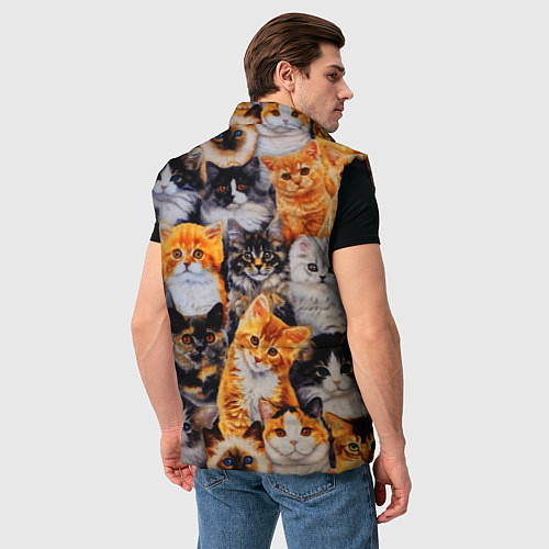 Мужской жилет КОТЯТКИ / 3D-Черный – фото 4