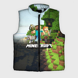 Мужской жилет Minecraft, цвет: 3D-черный