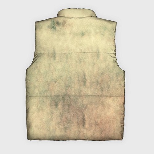 Мужской жилет Lion King / 3D-Светло-серый – фото 2