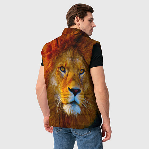 Мужской жилет Лев 3D / 3D-Черный – фото 4