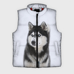 Мужской жилет ХАСКИ, цвет: 3D-красный