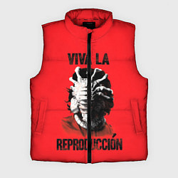 Мужской жилет VIVA LA