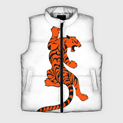 Мужской жилет Тигр, цвет: 3D-светло-серый